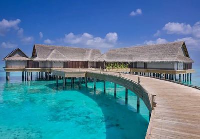 攜程上線近700條出境團(tuán)隊游產(chǎn)品，熱點(diǎn)目的地分析與行業(yè)展望